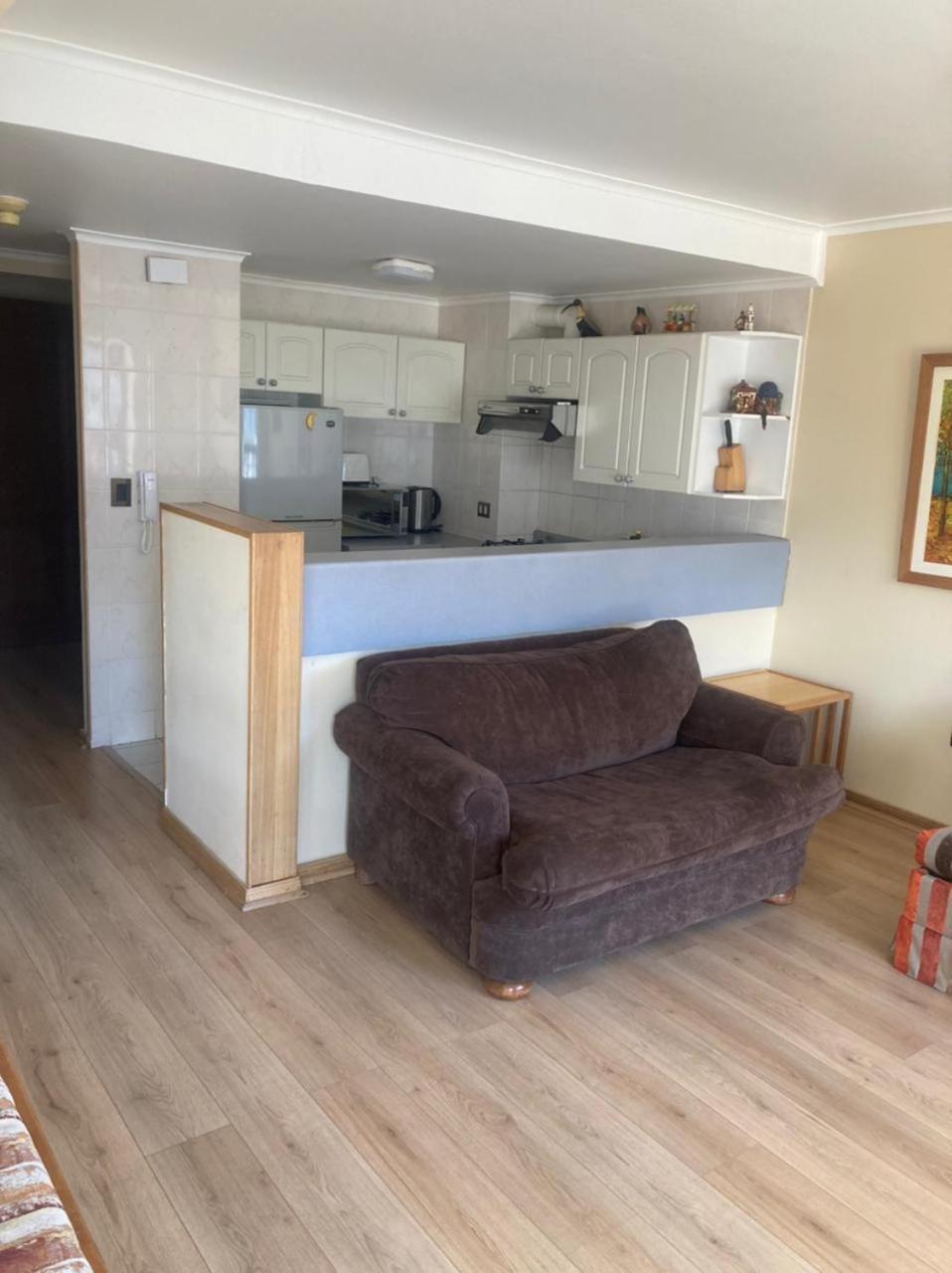 Departamentos Termas De Chillan Apartment Nevados de Chillan Ngoại thất bức ảnh